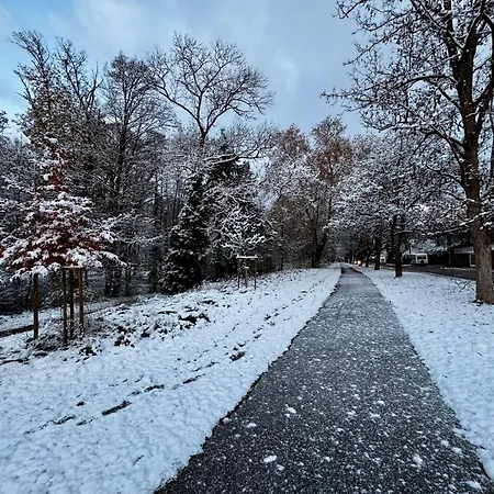 بيت للعطل En Face Du Parc *
