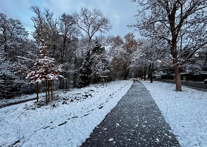 Σπίτι διακοπών En Face Du Parc *