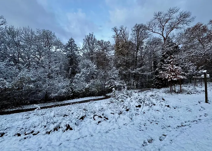 Σπίτι διακοπών En Face Du Parc *